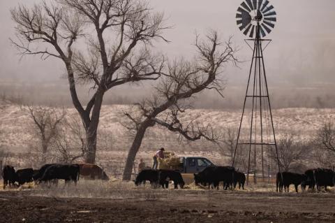 Firefighters Make Significant Progress Heading Into the 3rd Week of Texas Panhandle Fires