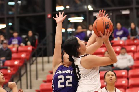 Brownfield Lady Cubs improve to 2-0 in district defeating Dimmitt Bobbies 54-32