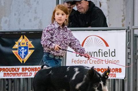 Brownfield Local Stock Show Results : Grand Champion Goat