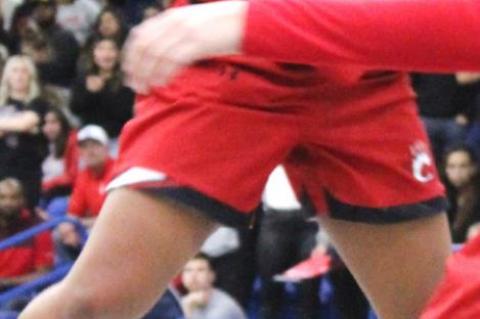 Lady Cubs title defense falls in the Area Round