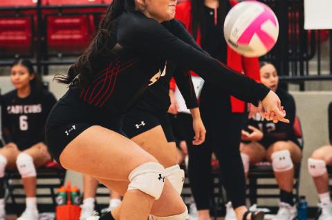 Cubs, Lady Cubs make history with victory against Andrews