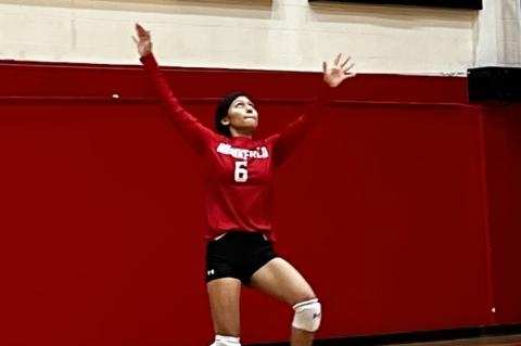 Lady Cubs Volleyball: Missing Pieces 