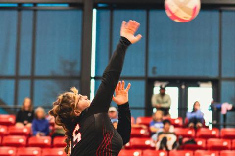 Cubs, Lady Cubs make history with victory against Andrews