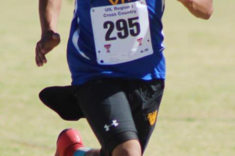 Cross Country teams competed at regional meet