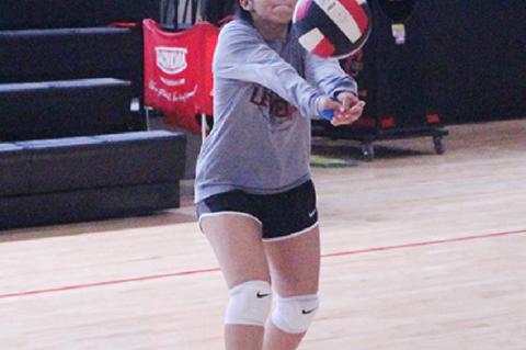 VanderDussen to lead Lady Cubs