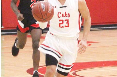 Cubs fall to Tigers at home