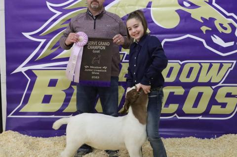 Grand Champion Lamb