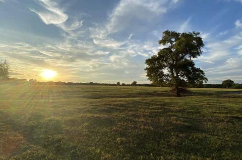 Drought impacted forage, pastures different across the state
