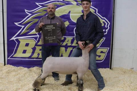 Grand Champion Lamb