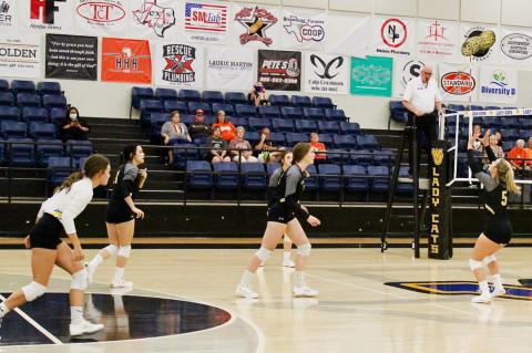 The Wellman-Union Lady Cats