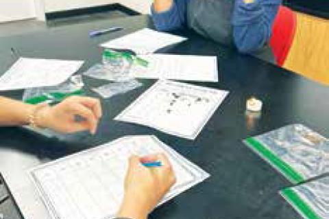 Learning how to analyze fibers
