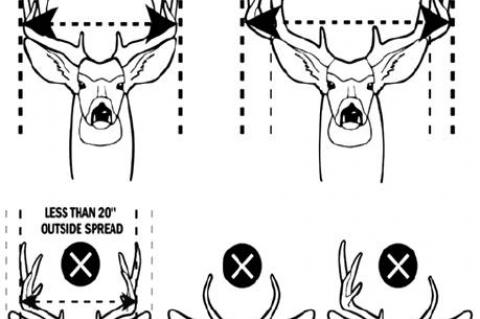 Local counties ready for additional Wardens during Mule Deer Season opener