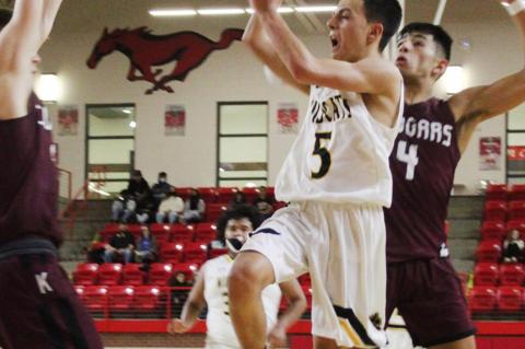Turnovers cost Wildcats chance Bi-District win