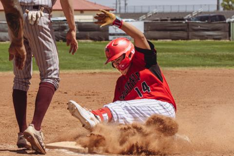 Cubs fall 8-3 to Wildcats