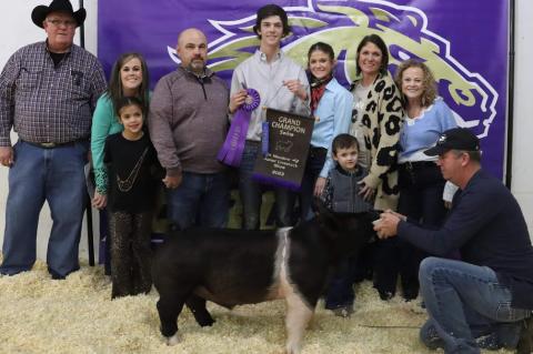 Grand Champion Lamb