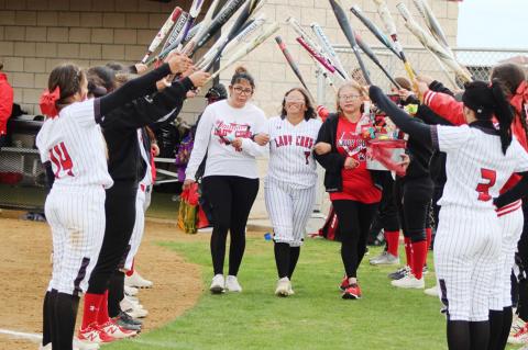 BROWNFIELD LADY CUBS SOFTBALL