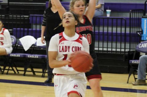 Lady Cubs go 2-1 at Canyon Classic