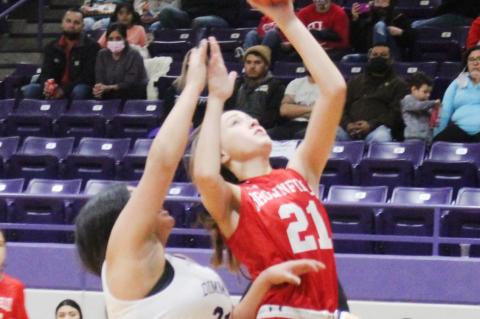 Lady Cubs on the cusp of a district title