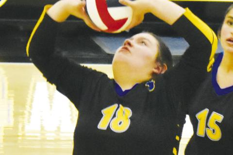 Lady Cats volleyball stumbles against Plains