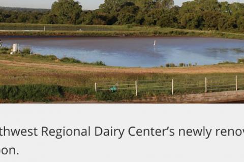 Unique process ‘cleans’ crop water runoff 