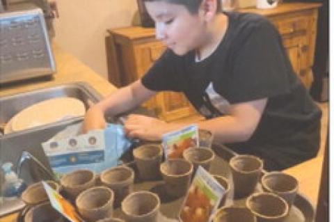 Brownfield Marked 78th Annual Harvest Festival with Music, Fo'*'