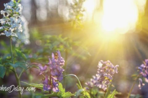 TRUSTING THE UNSEEN