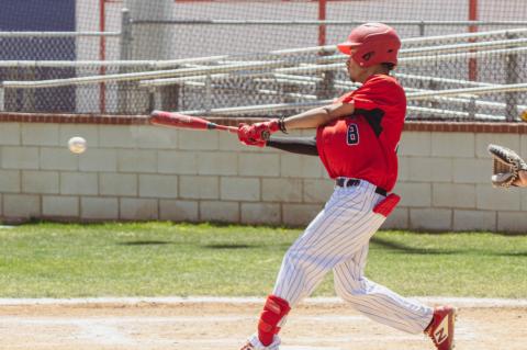 Cubs fall 8-3 to Wildcats