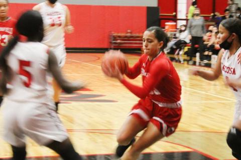 Lady Cubs win back to back road games