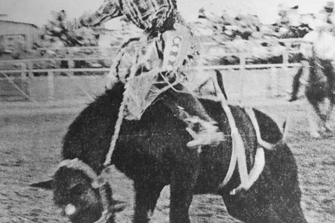 Terry County, Brownfield Rodeo Possibly Canceled