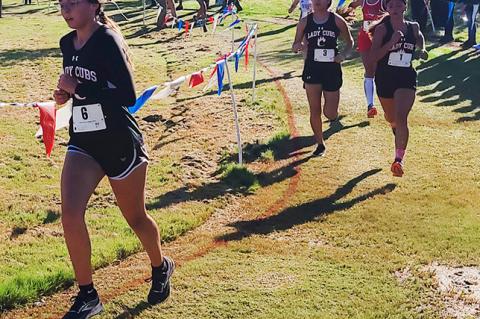 Brownfield District Cross Country Meet