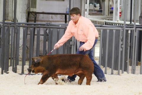 Brownfield FFA Stock Show Results