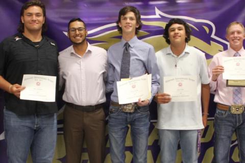 MEADOW ISD