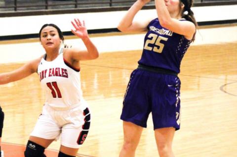 Year-In-Review, Terry County Girls Hoops