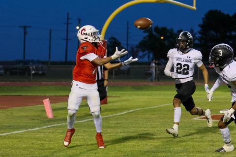 Brownfield Cubs fall to Muleshoe 48-21
