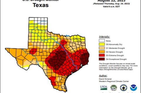 As drought conditions worsen in Terry County, is the grape harvest suffering?