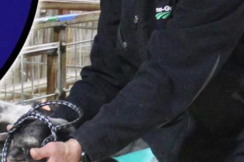 2021 Terry County Livestock Show