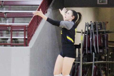 Lady Cats lose bi-district championship on road against Wildorado