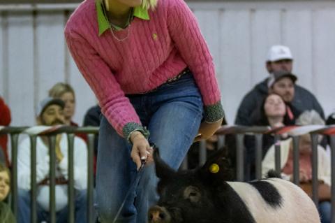 2023 BROWNFIELD LIVESTOCK SHOW