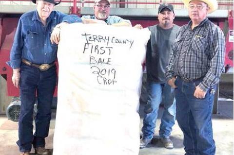 Terry County’s first bale of cotton for 2019 