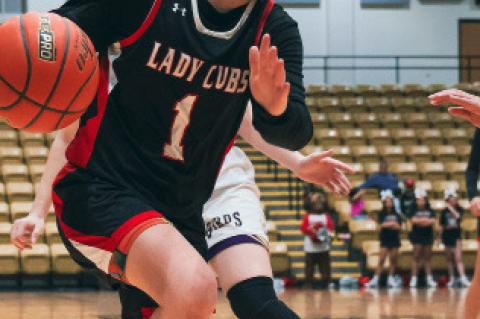 All-District Lady Cubs Honors