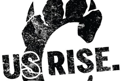 BISD receives back-to-back FIRST superior rating