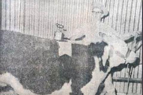 Article Image Alt Text