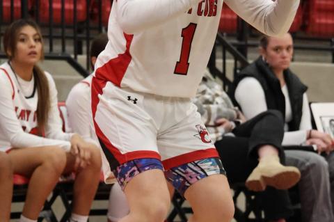 Lady Cubs snap two-game skid