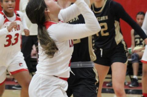 Lady Cubs fall to Sandies for second straight loss