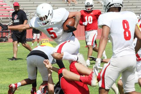 “NASCAR” offense is a go