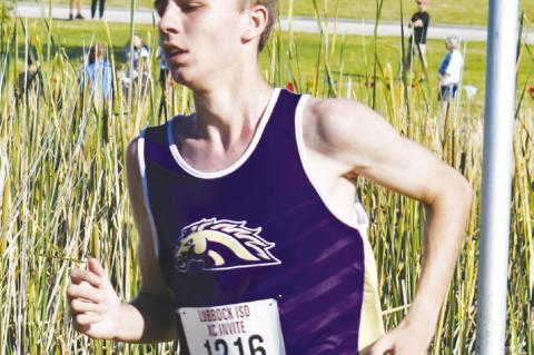 Brownfield cross country team looks to continue recent success