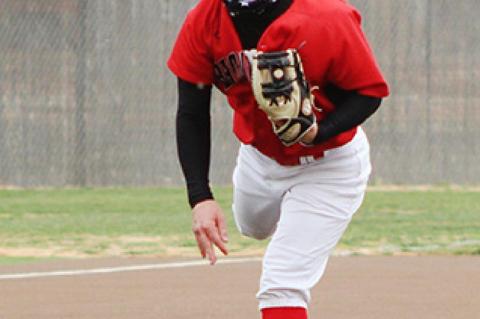 Brownfield Cubs BASEBALL 