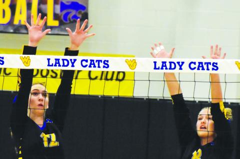 Wellman-Union loses to Olton 