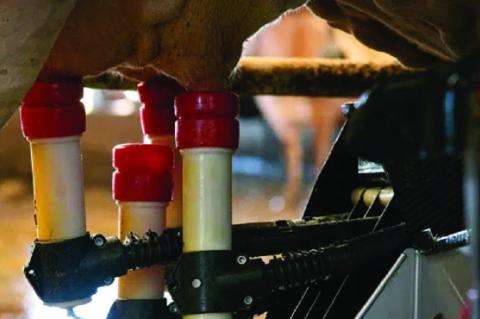 Commissioner Miller Provides Update on HPAI Detection in Texas and Kansas Dairy Herds