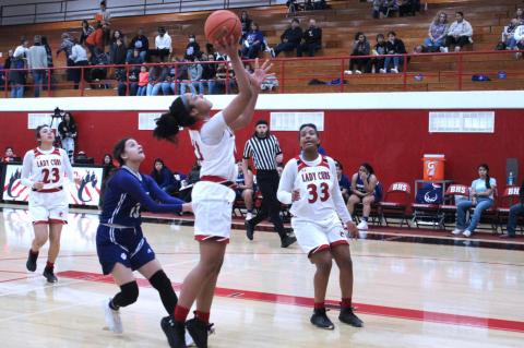 Lady Cubs take one step closer to another district title